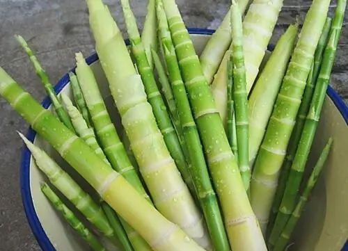 莴笋叶能吃,莴笋叶能不能吃火锅?图4