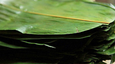 粽子用蒸锅蒸多长时间,粽子蒸多久才能熟多长时间能煮熟图1