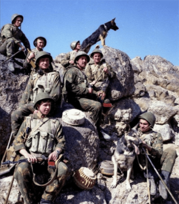 车臣属于哪个国家(车臣是一个国家吗)