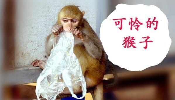 塑料袋的危害，塑料袋装食物，对身体危害真的很大吗？图4