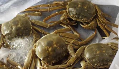 冷冻后的飞蟹，能不能蒸着吃