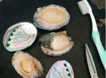 鲍鱼壳很脏怎么炖汤,鲍鱼壳怎样煲汤喝图14