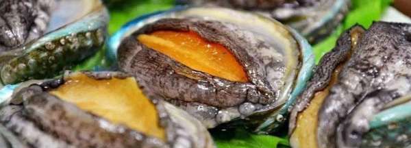 鲍鱼壳很脏怎么炖汤,鲍鱼壳怎样煲汤喝图2