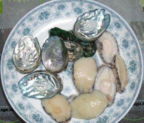 鲍鱼壳很脏怎么炖汤,鲍鱼壳怎样煲汤喝图5