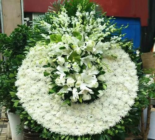 节哀衰变的意思