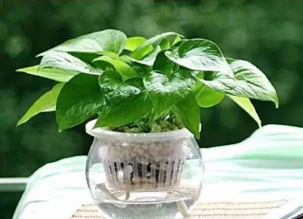 泡沫胶甲醛多久消失,甲醛要多久才消失图1