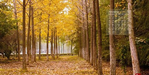 秋季是在几月到几月