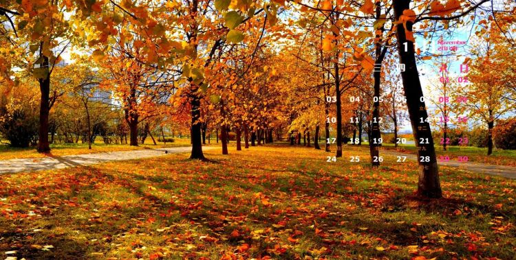 秋天从几月几日开始