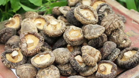 香菇变成褐色还能吃,香菇变色了还能吃吗图3