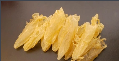 花胶是什么东西,花胶是什么东西图3