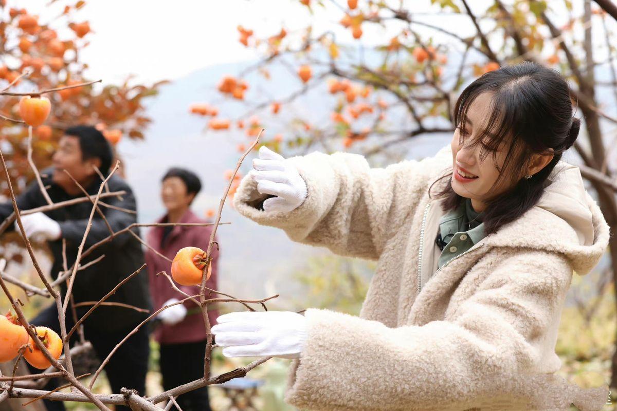 刘敏涛个人资料简介及 ：离婚8年，46岁的刘敏涛，终于迎来了她的春天