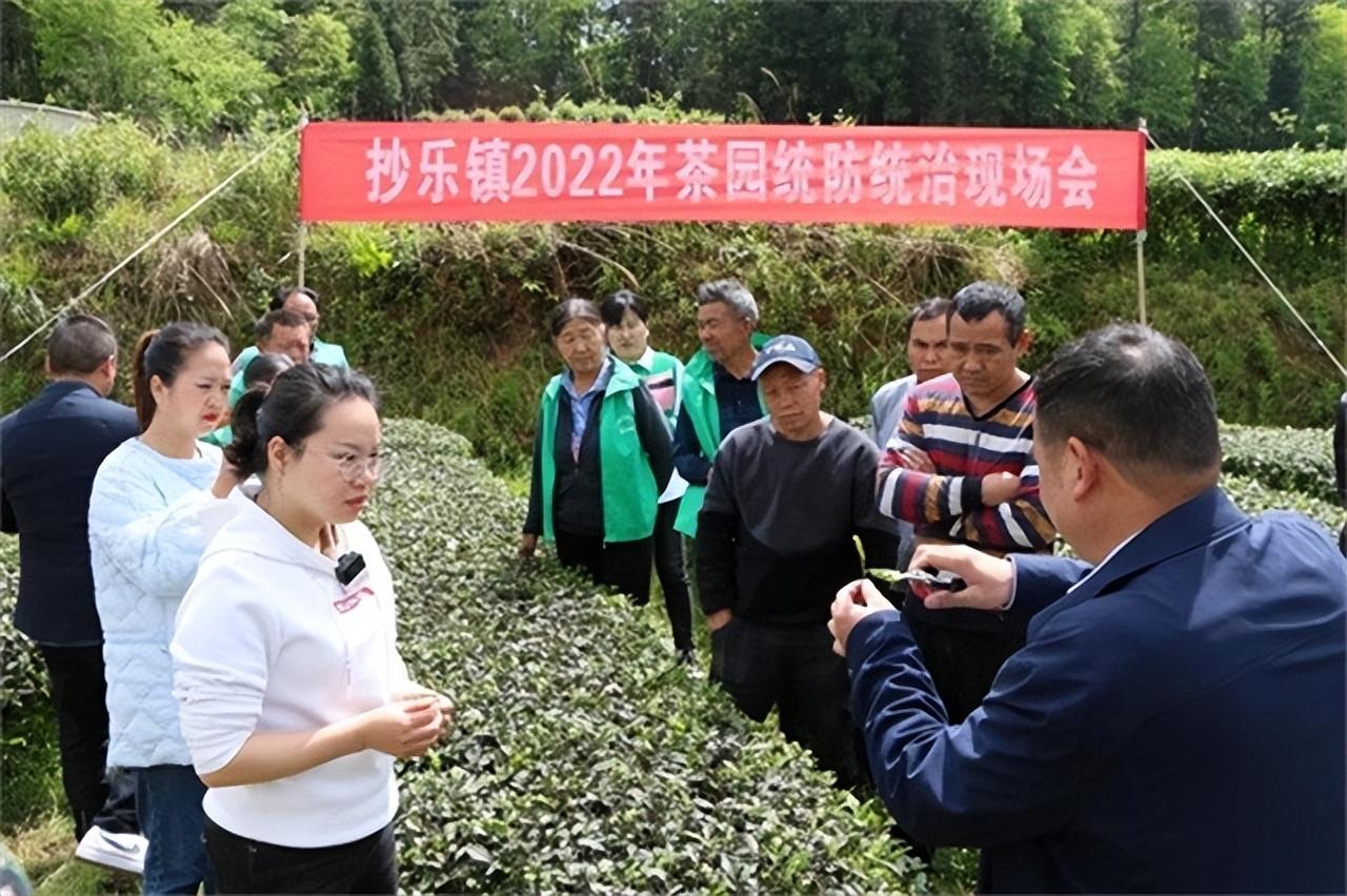 排雷英雄杜富国简介 个人资料