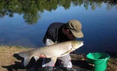 ​钓草鱼用什么打窝，谷芽和嫩玉米打窝钓草鱼哪个好用？