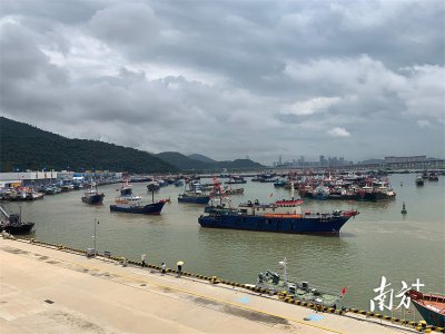 ​珠海出海打鱼多少钱一天(珠海打鱼出海在哪里)