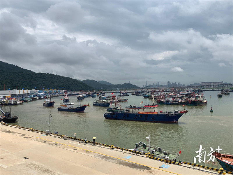 珠海出海打鱼多少钱一天(珠海打鱼出海在哪里)