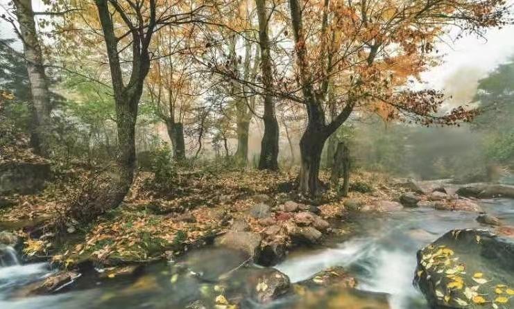 方山县属于哪个市(山西方山县属于哪个市)