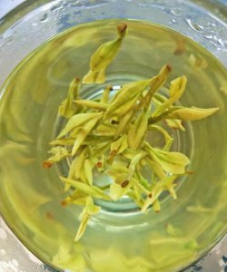 ​百合和茉莉能一起泡吗，绿茶和什么一起泡最好？