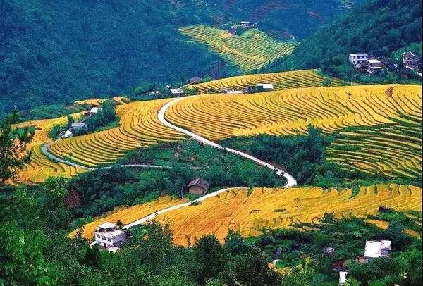 桃源县属于哪个市(湖南省桃源县属于哪个市)