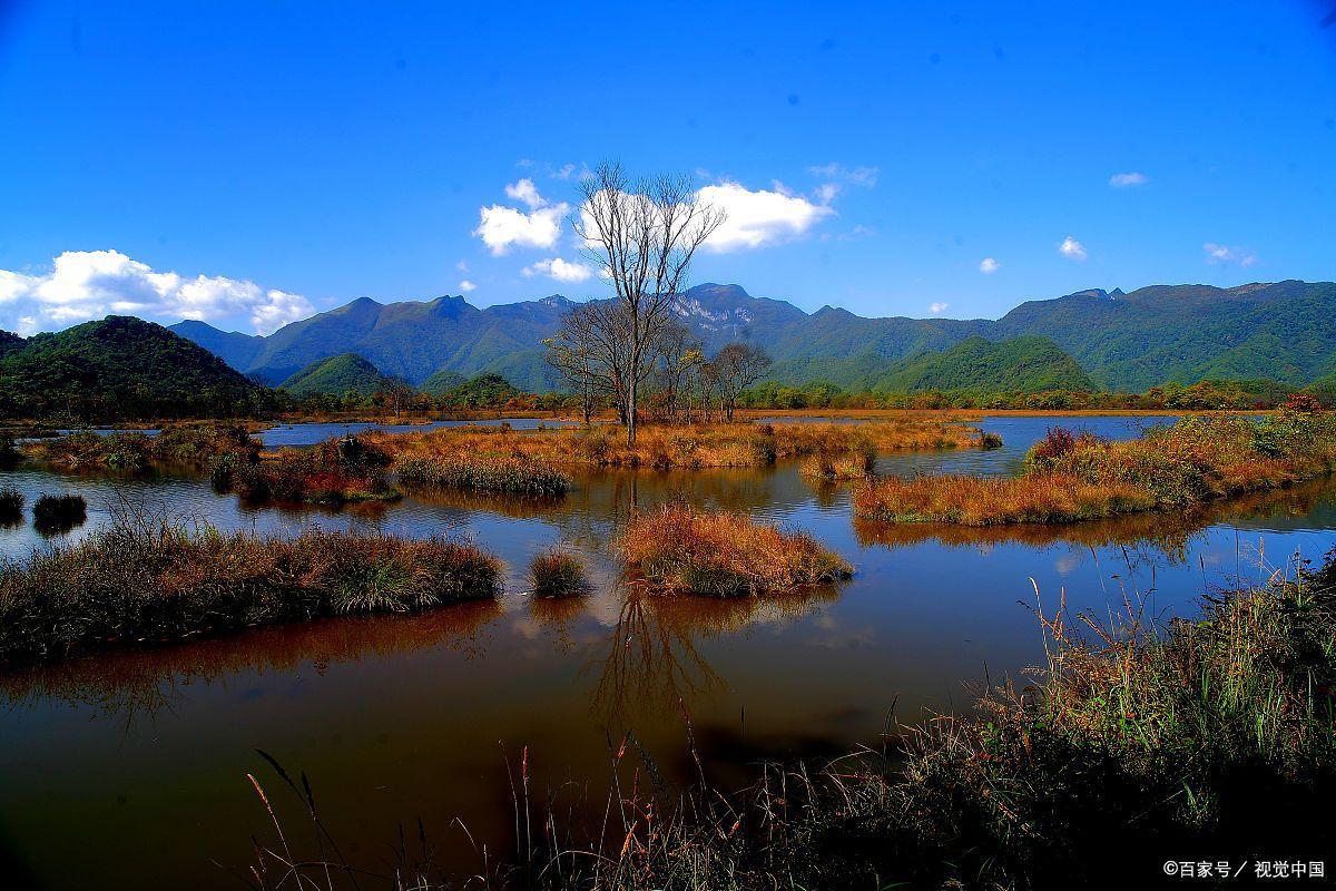 神农架在哪里(神农架在湖北哪个市)