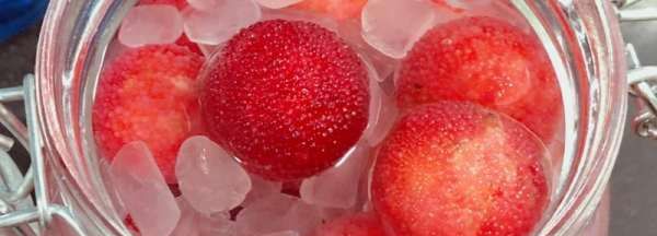 自制冰糖杨梅可以保存多久,自制冰糖杨梅可以保存多久吃图3