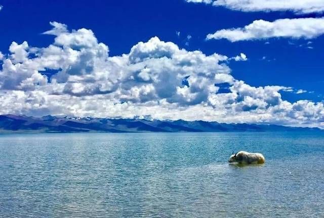 世界杯海拔最低的湖泊是哪