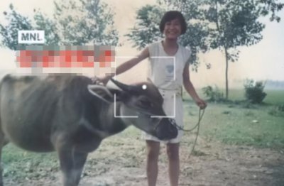 ​贾玲的个人资料  是如何成名的？