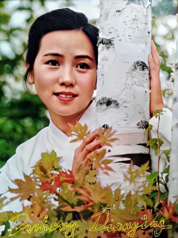 洪学敏个人资料 罕见！《喜盈门》演仁芳，早年息影，已24年未有作品