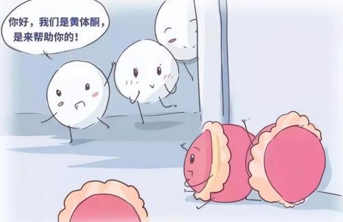 女人黄体不足的表现(黄体不足的表现会不会持续几个月)-第2张图片-