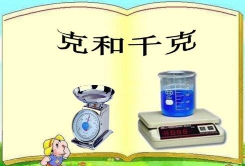 1磅等于多少克,一磅是多少克图3