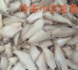 剥皮鱼为什么要剥皮?