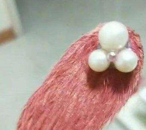 芒果核怎么做工艺品,小时候芒果核做的零食叫什么名字图7