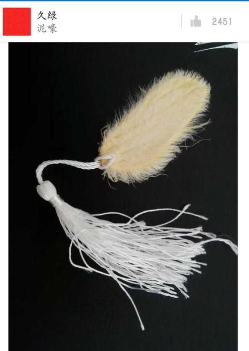 芒果核可以做什么手工