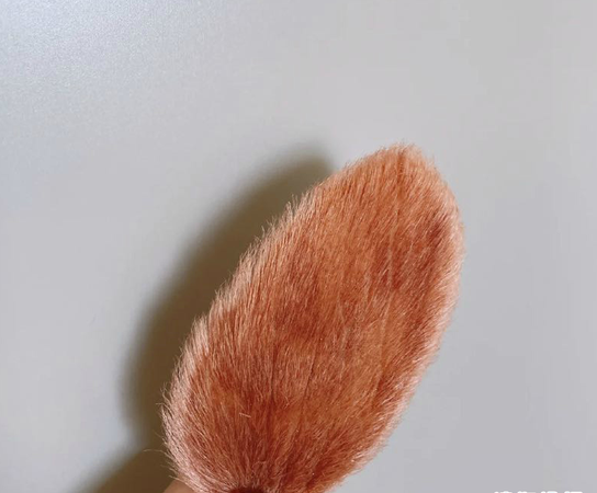 芒果核做发夹的教程