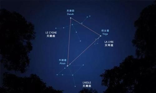 牛郎织女的故事中的牛郎是属于什么星座