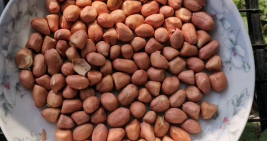 烤箱烤花生米时间温度,用烤箱烤花生需要的温度与时间是多少度图4