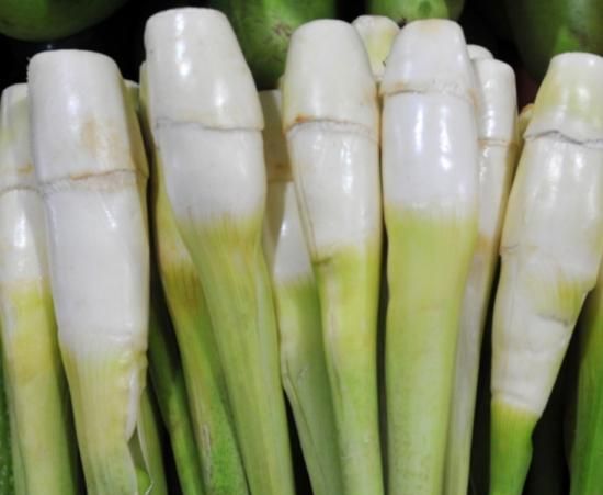 茭白发黑可以吃 能不能吃变黑了的茭白呢