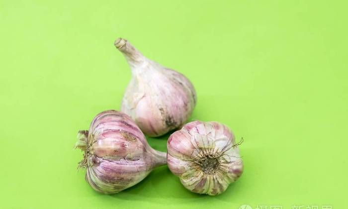 大蒜为什么会变成绿色的了?
