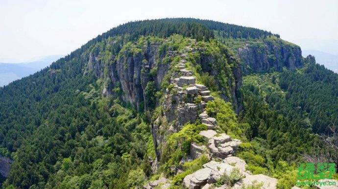 平阴县属于哪个市(山东平阴属于哪个市)