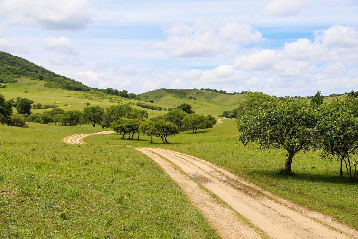 阿鲁科尔沁旗是哪个省哪个市(阿鲁科尔沁旗有几个乡镇)