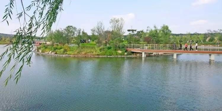 寿阳县属于哪个市(山西寿阳县属于哪个市)