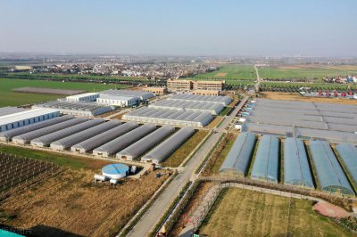 ​内乡县属于哪个市(河南内乡县属于哪个市)