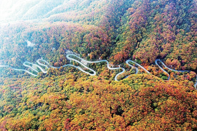 内乡县属于哪个市(河南内乡县属于哪个市)