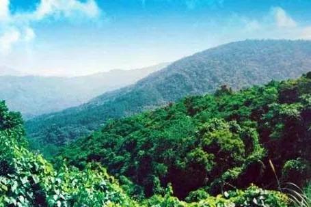 昌江黎族自治县属于哪个省哪个市