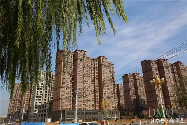 东明县属于山东哪个市(山东东明县属于哪个市)