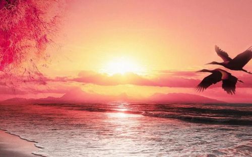 什么是意象和意境(什么是意象生成,世界上的事物本来与人无关)-第1张图片-