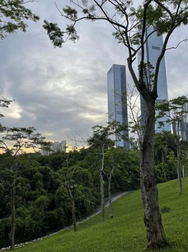 深圳笔架山公园地铁怎么坐?深圳笔架山公园有什么好玩的地方-第1张图片-