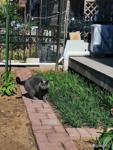 有情饮水饱什么意思啊?有情饮水饱下一句神回复-第1张图片-