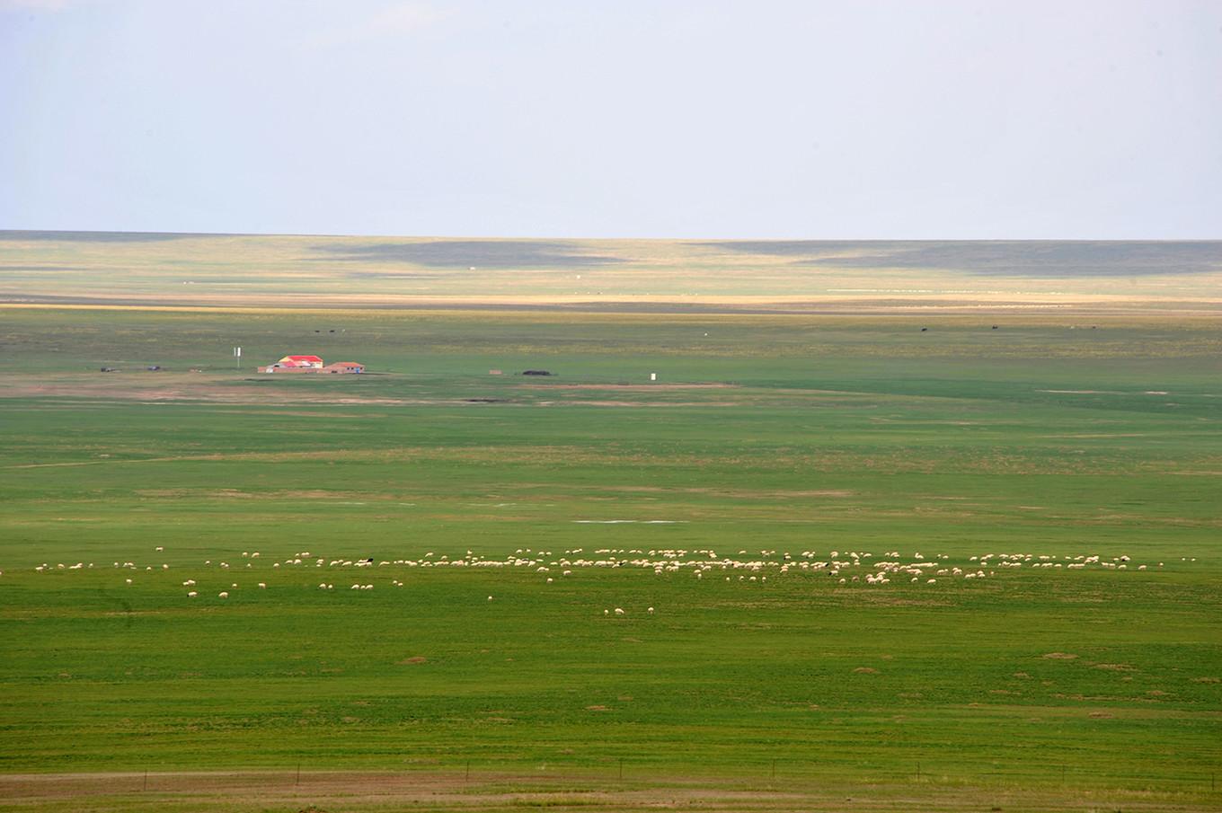 东乌珠穆沁旗属于哪个市(东乌珠穆沁旗简介)