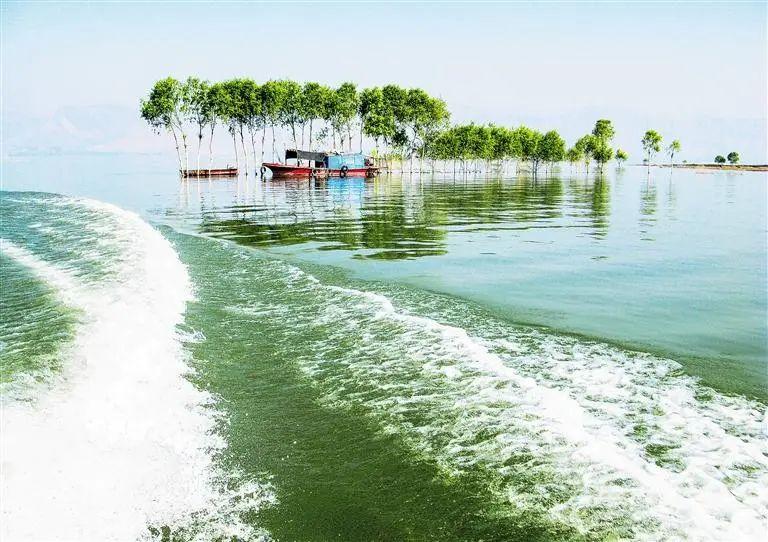 东乡县属于哪个市(甘肃东乡县属于哪个市)