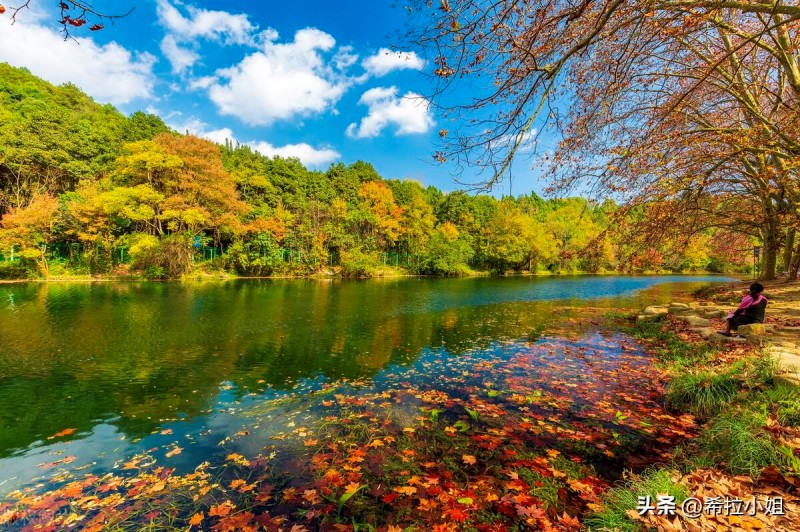 贵阳旅游攻略必玩的景点(贵阳旅游必去十大景点)